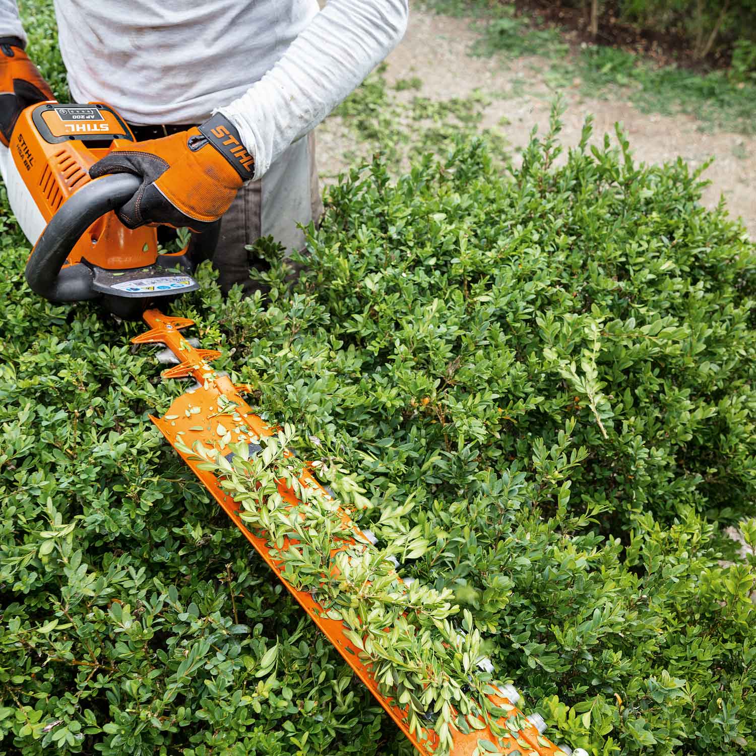 Stihl HSA 86 Akku-Heckenschere