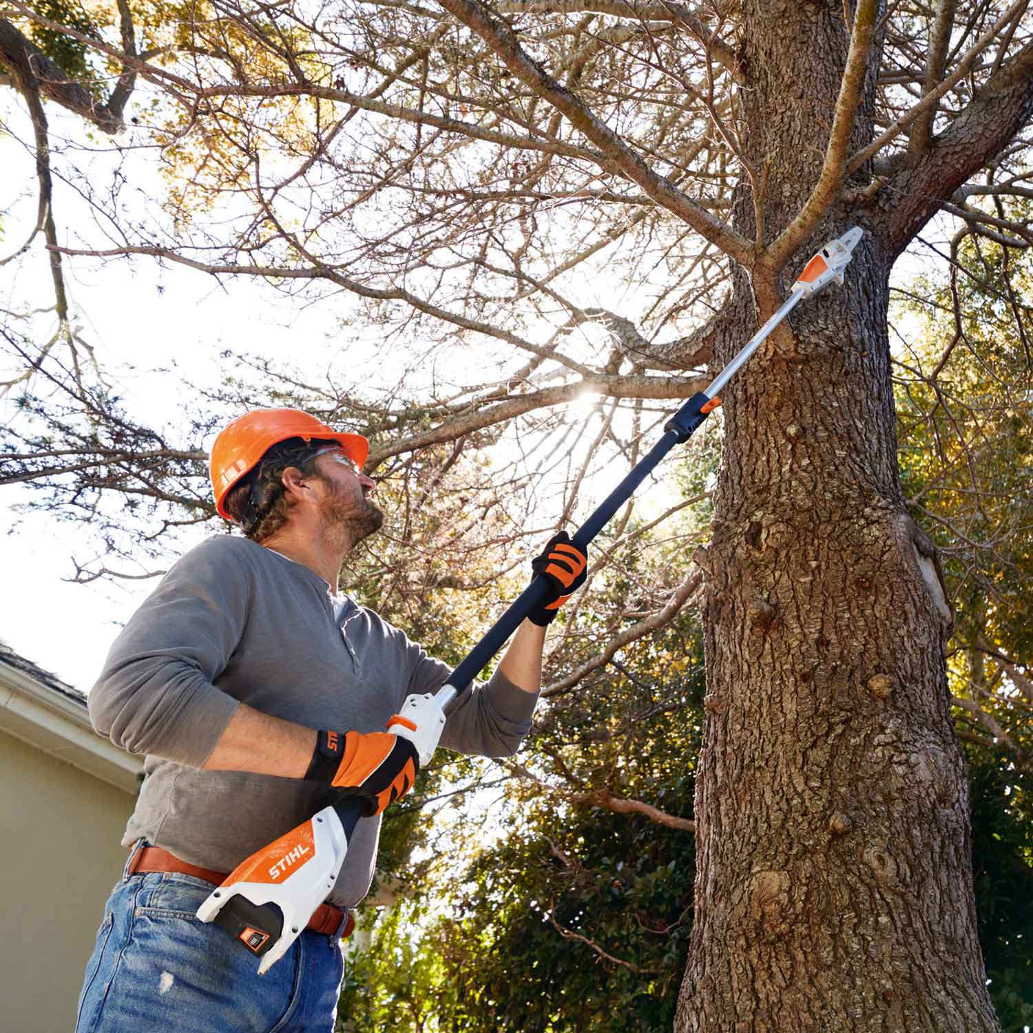 Stihl HTA 50 Akku-Hochentaster