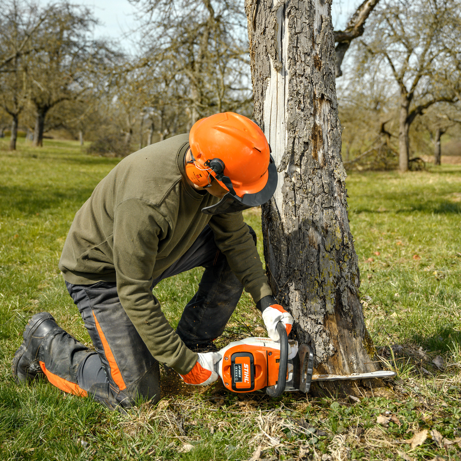 Stihl MSA 220 C-B Akku